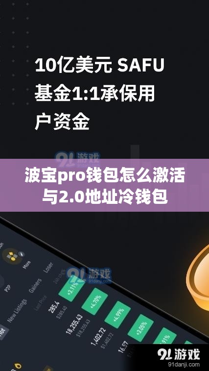 波宝pro钱包怎么激活与2.0地址冷钱包